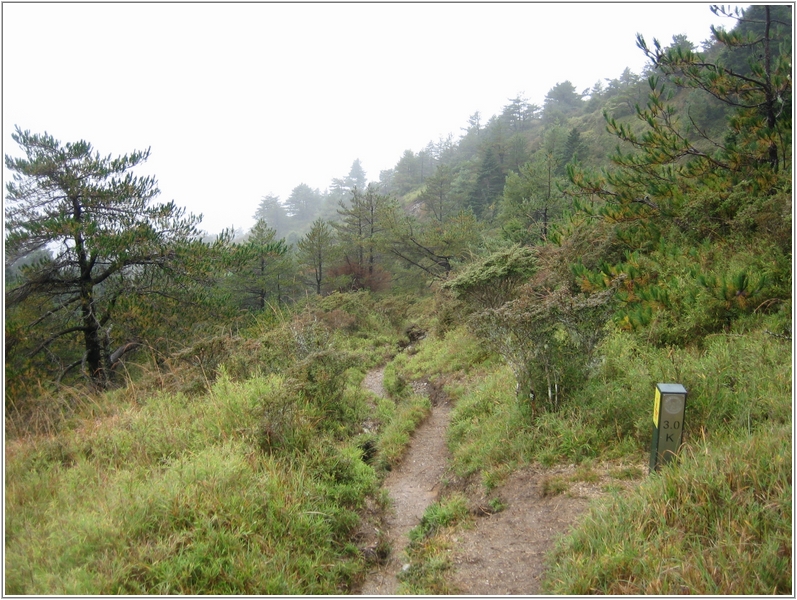 2011-11-08 09-52-15回滑雪中心登山口途中.JPG